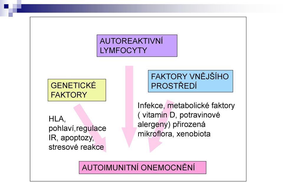 VNĚJŠÍHO PROSTŘEDÍ Infekce, metabolické faktory ( vitamin