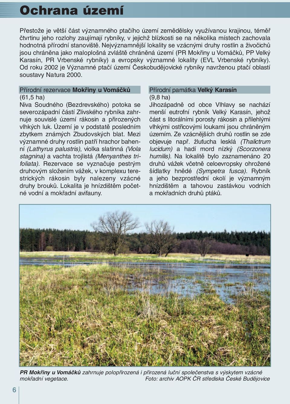 Nejvýznamnější lokality se vzácnými druhy rostlin a živočichů jsou chráněna jako maloplošná zvláště chráněná území (PR Mokřiny u Vomáčků, PP Velký Karasín, PR Vrbenské rybníky) a evropsky významné