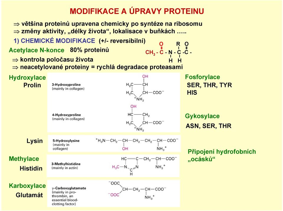 . 1) CHEMICKÉ MODIFIKACE (+/- reversibilní) O R O Acetylace N-konce 80% proteinů CH 3 -C-N-C-C- kontrola poločasu
