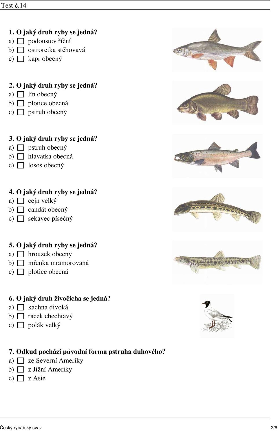 a) cejn velký b) candát obecný c) sekavec písečný 5. O jaký druh ryby se jedná? a) hrouzek obecný b) mřenka mramorovaná c) plotice obecná 6.