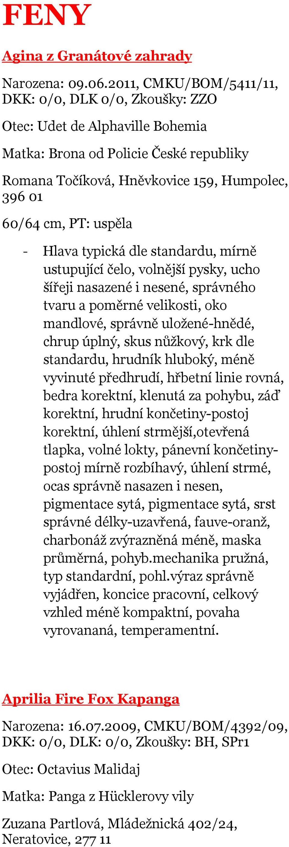 - Hlava typická dle standardu, mírně ustupující čelo, volnější pysky, ucho šířeji nasazené i nesené, správného tvaru a poměrné velikosti, oko mandlové, správně uložené-hnědé, chrup úplný, skus