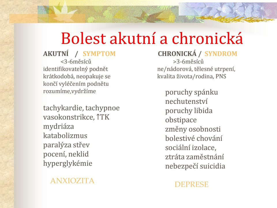 hyperglykémie ANXIOZITA CHRONICKÁ / SYNDROM >3-6měsíců ne/nádorová, tělesné utrpení, kvalita života/rodina, PNS poruchy