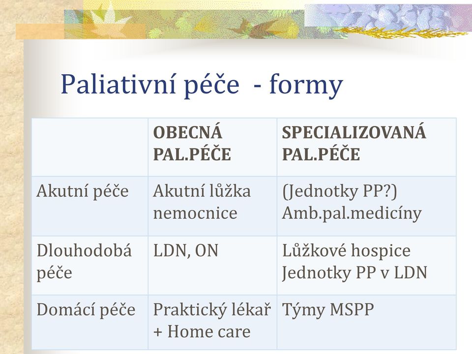 PÉČE Akutní lůžka nemocnice LDN, ON Praktický lékař + Home