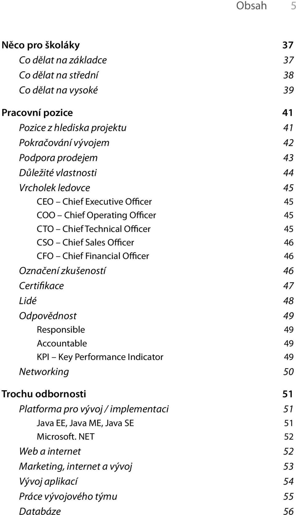 Chief Financial Officer 46 Označení zkušeností 46 Certifikace 47 Lidé 48 Odpovědnost 49 Responsible 49 Accountable 49 KPI Key Performance Indicator 49 Networking 50 Trochu odbornosti