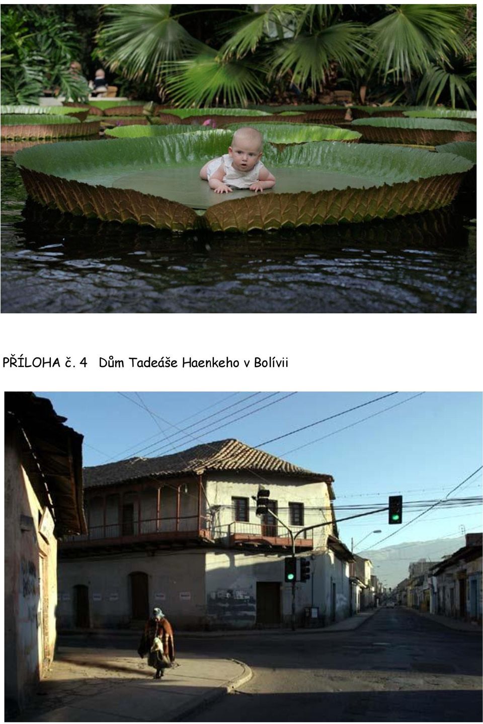 Tadeáše