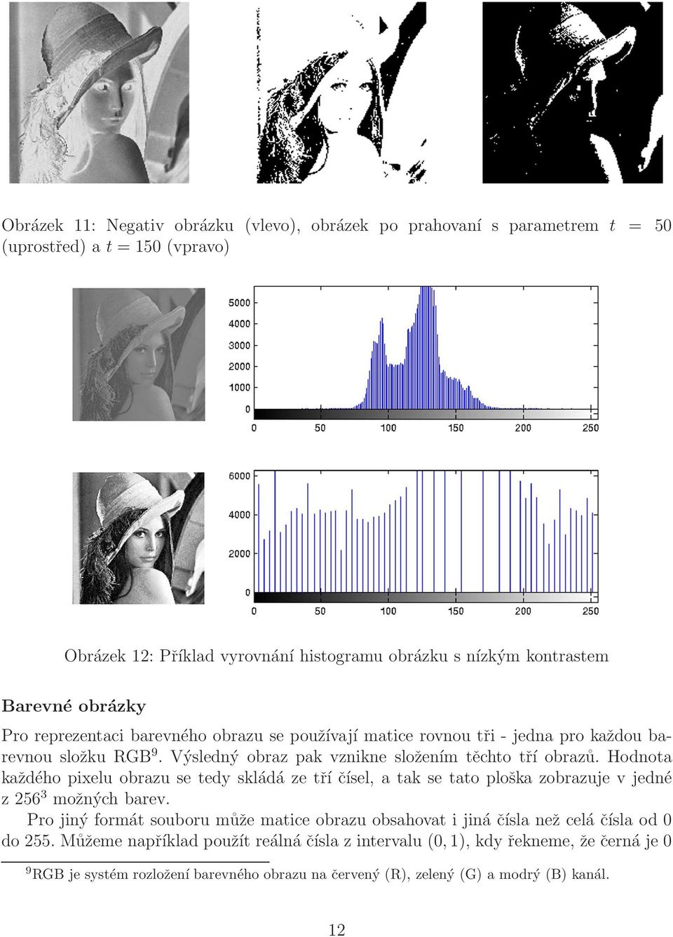 Hodnota každého pixelu obrazu se tedy skládá ze tří čísel, a tak se tato ploška zobrazuje v jedné z 256 3 možných barev.