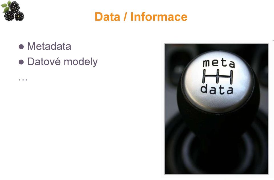 Metadata