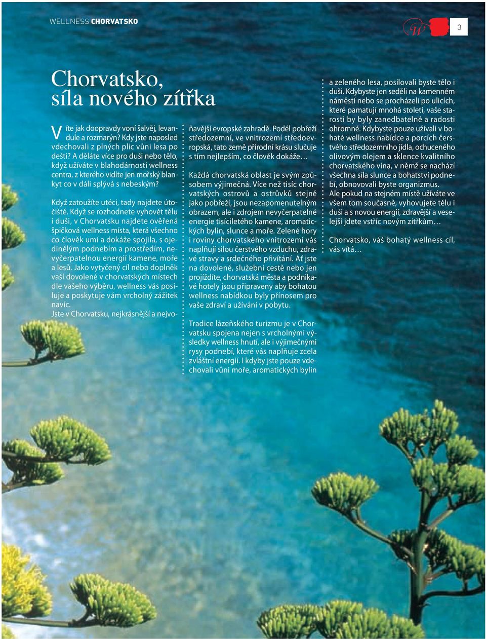 Když se rozhodnete vyhovět tělu i duši, v Chorvatsku najdete ověřená špičková wellness místa, která všechno co člověk umí a dokáže spojila, s ojedinělým podnebím a prostředím, nevyčerpatelnou energií