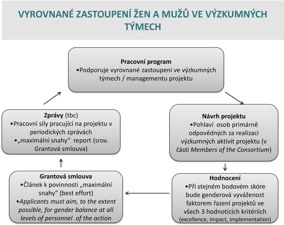 Grantová smlouva) Návrh projektu Pohlaví osob primárně odpovědných za realizaci výzkumných aktivit projektu (v části Members of the Consortium) Grantová smlouva Článek k povinnosti