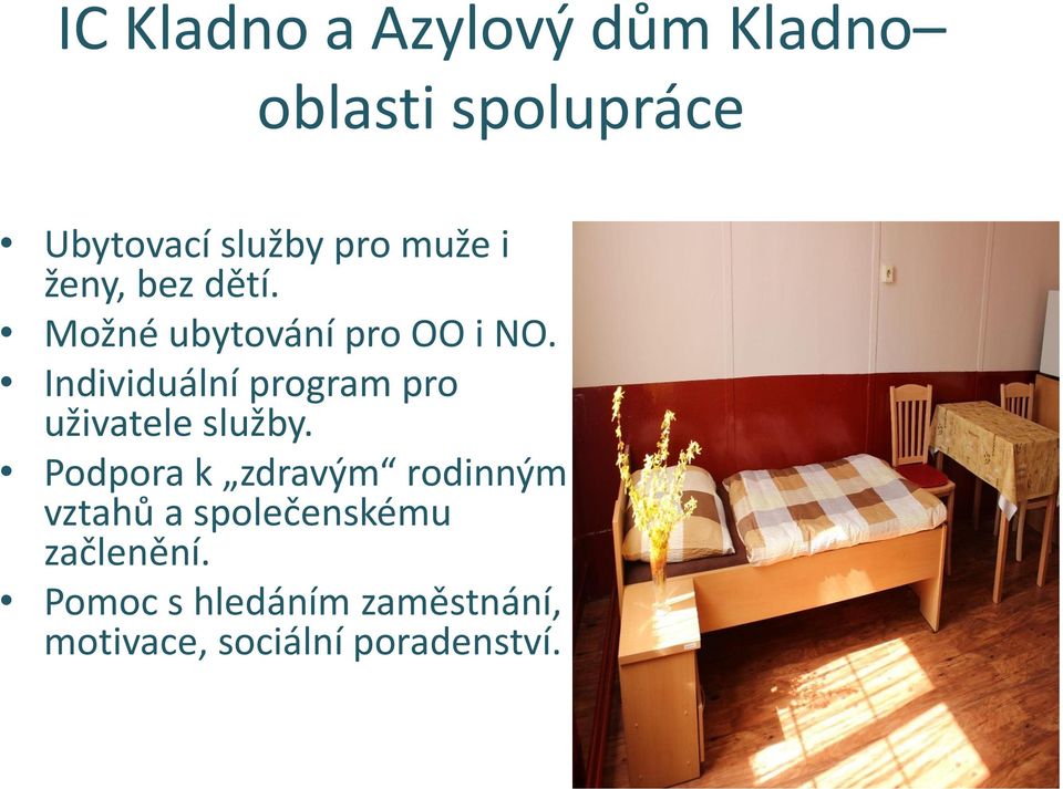 Individuální program pro uživatele služby.