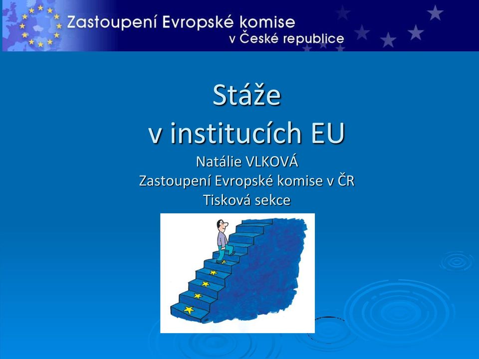 Zastoupení Evropské