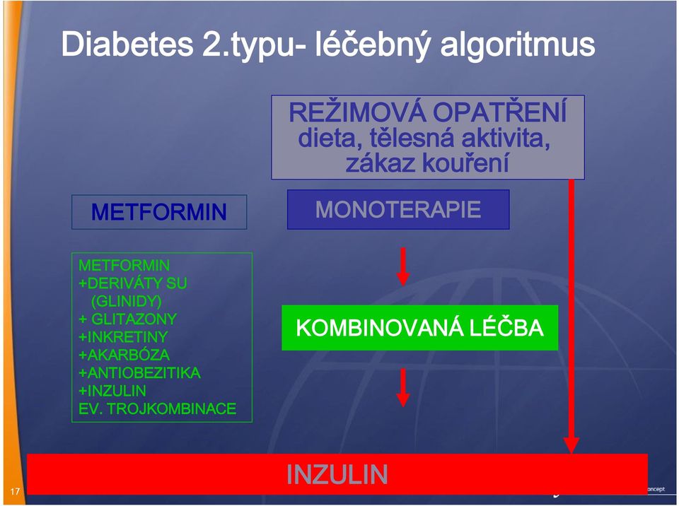 aktivita, zákaz kouření METFORMIN METFORMIN +DERIVÁTY SU