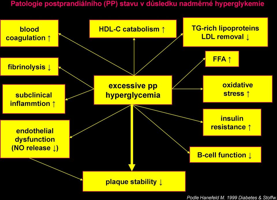 inflammtion endothelial dysfunction (NO release ) excessive pp hyperglycemia FFA