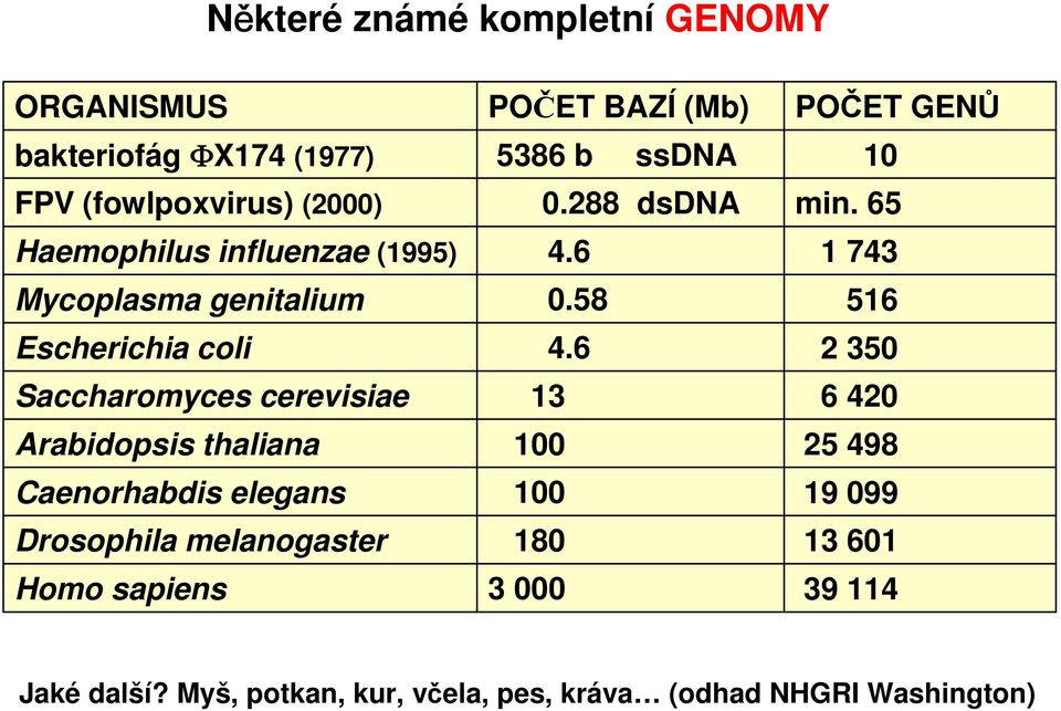 Drosophila melanogaster Homo sapiens POČET BAZÍ (Mb) 5386 b ssdna 0.288 dsdna 4.6 0.58 4.