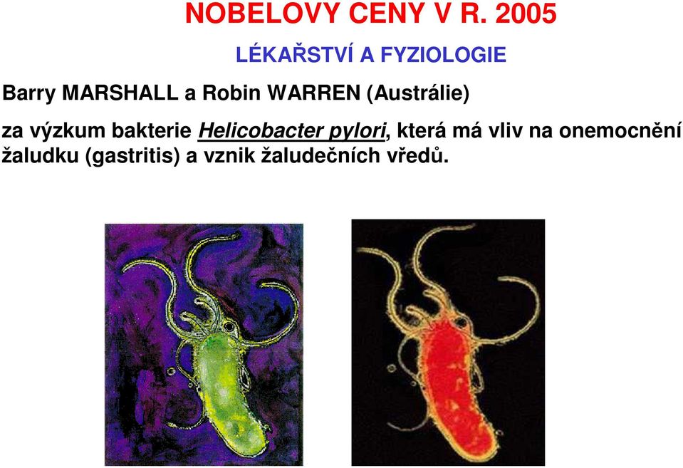 WARREN (Austrálie) za výzkum bakterie Helicobacter
