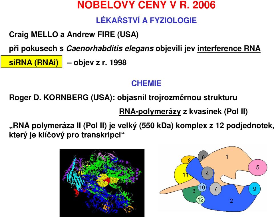 RNA sirna (RNAi) objev z r. 1998 CHEMIE Roger D.