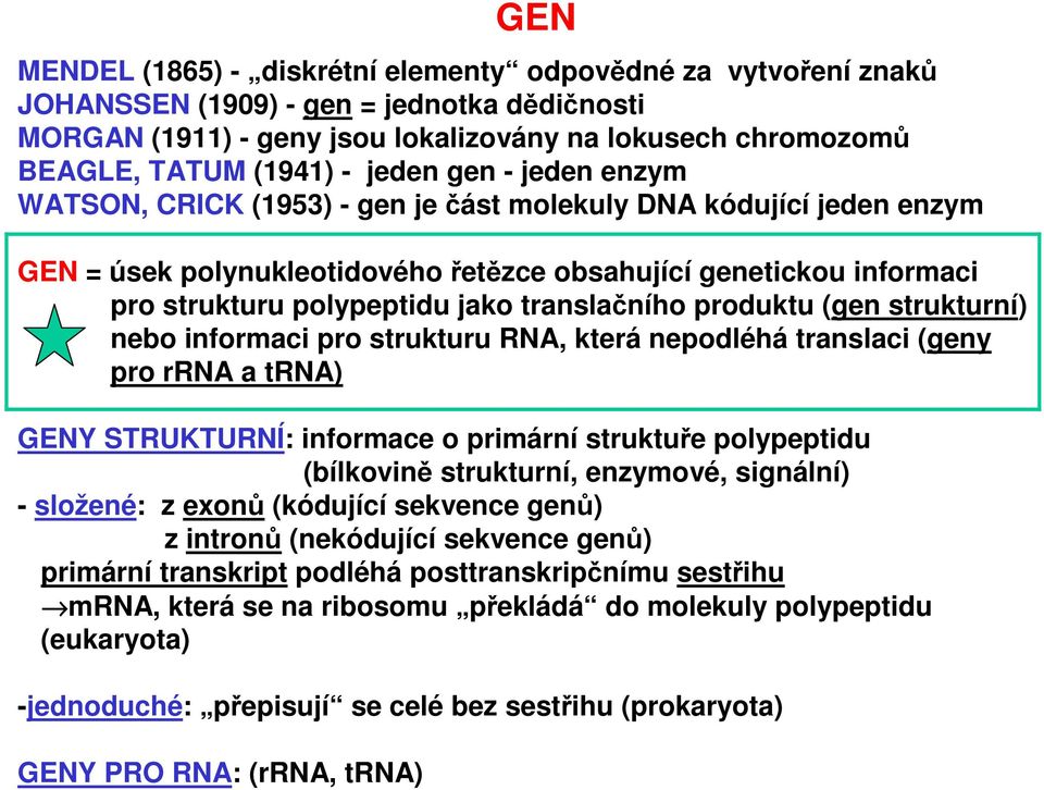 translačního produktu (gen strukturní) nebo informaci pro strukturu RNA, která nepodléhá translaci (geny pro rrna a trna) GENY STRUKTURNÍ: informace o primární struktuře polypeptidu (bílkovině