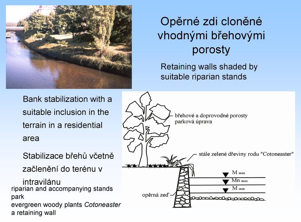 residential area Stabilizace břehů včetně začlenění do terénu v intravilánu