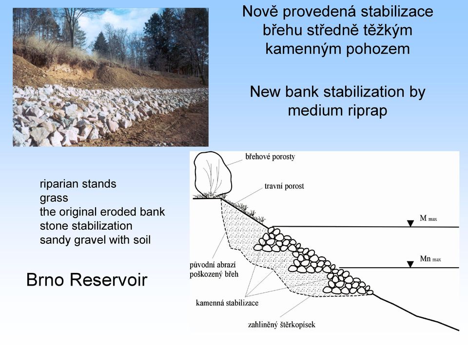 riprap riparian stands grass the original eroded