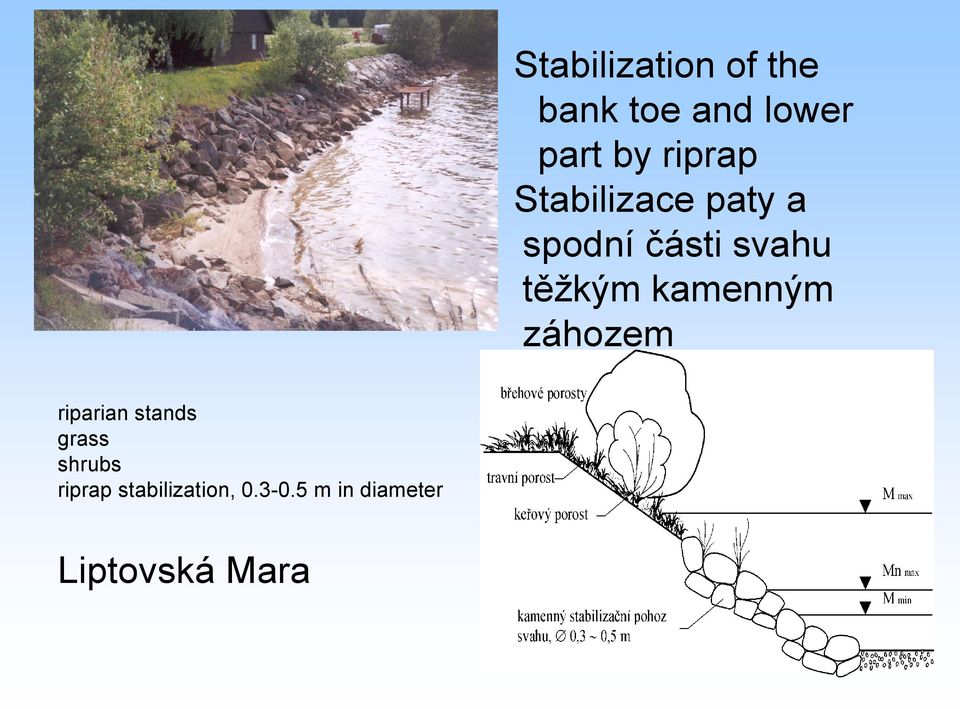 kamenným záhozem riparian stands grass shrubs