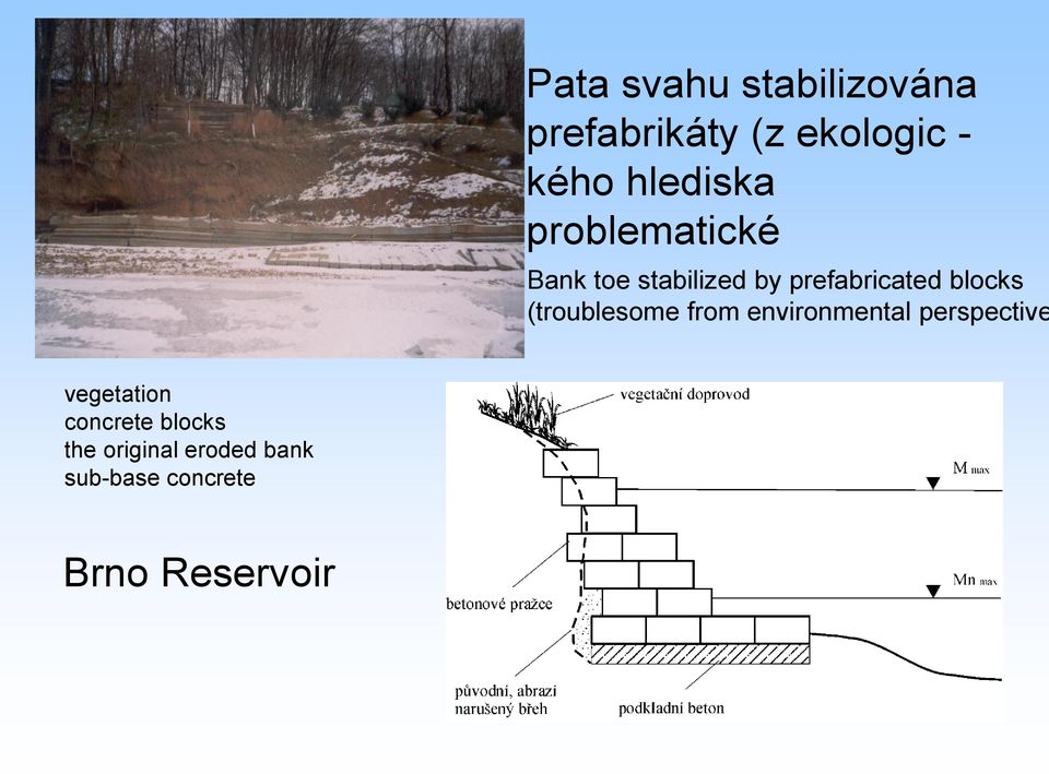 blocks (troublesome from environmental perspective vegetation
