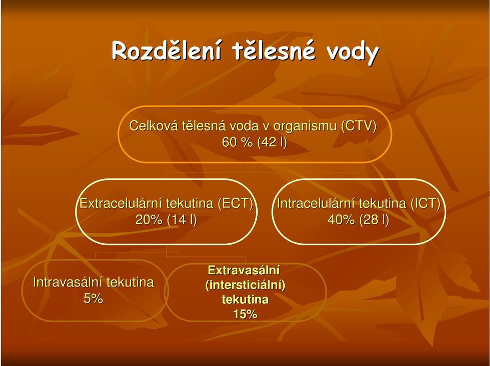 (ECT) 20% (14 l) Intracelulární tekutina (ICT) 40% (28