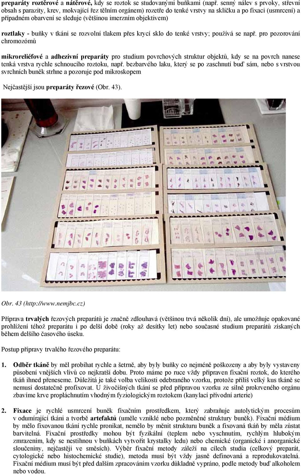 objektivem) roztlaky - buňky v tkáni se rozvolní tlakem přes krycí sklo do tenké vrstvy; používá se např.