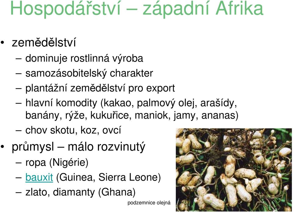 arašídy, banány, rýže, kukuřice, maniok, jamy, ananas) chov skotu, koz, ovcí průmysl