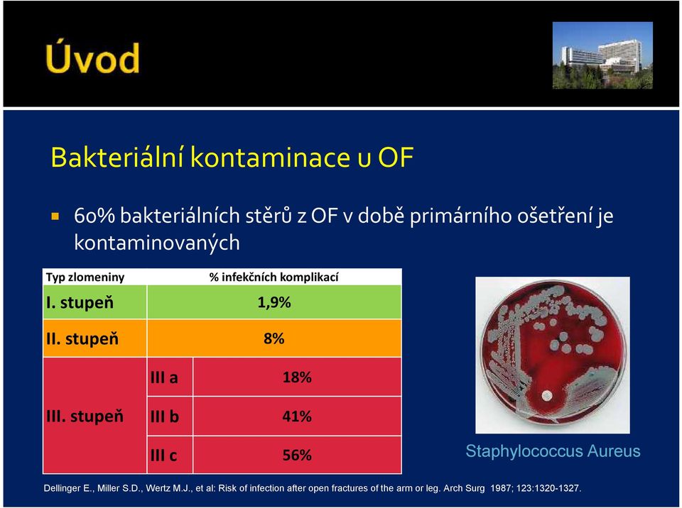 stupeň 8% III a 18% III. stupeň III b 41% III c 56% Staphylococcus Aureus Dellinger E.