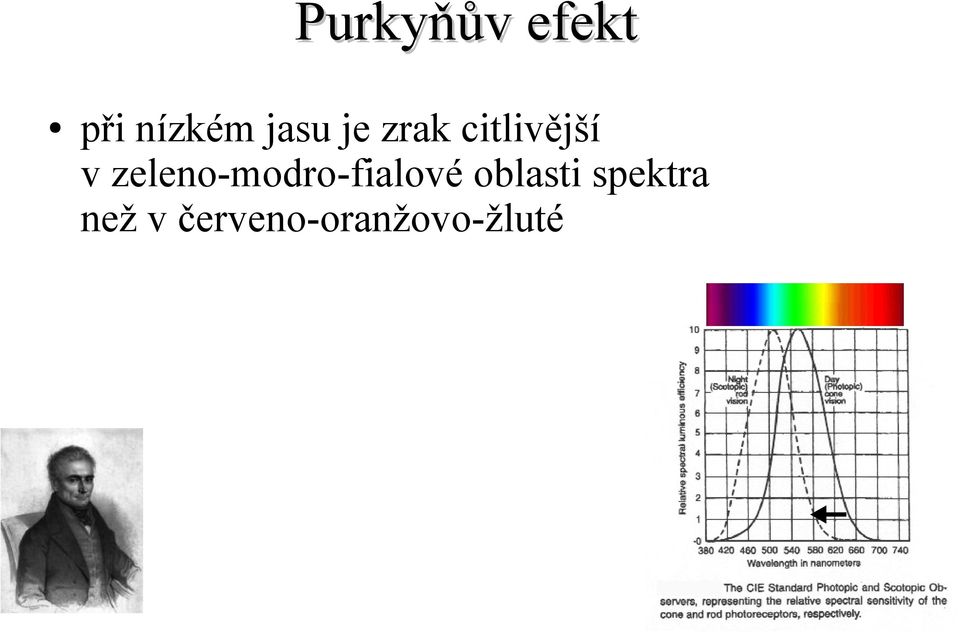 zeleno-modro-fialové oblasti