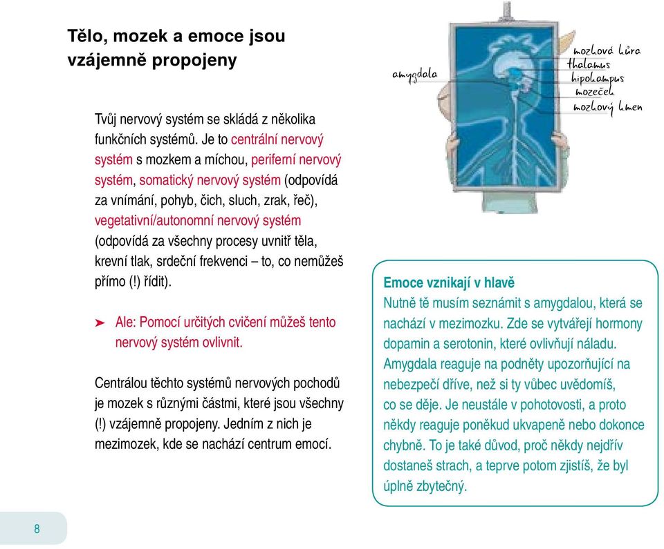 (odpovídá za všechny procesy uvnitř těla, krevní tlak, srdeční frekvenci to, co nemůžeš přímo (!) řídit). Ale: Pomocí určitých cvičení můžeš tento nervový systém ovlivnit.