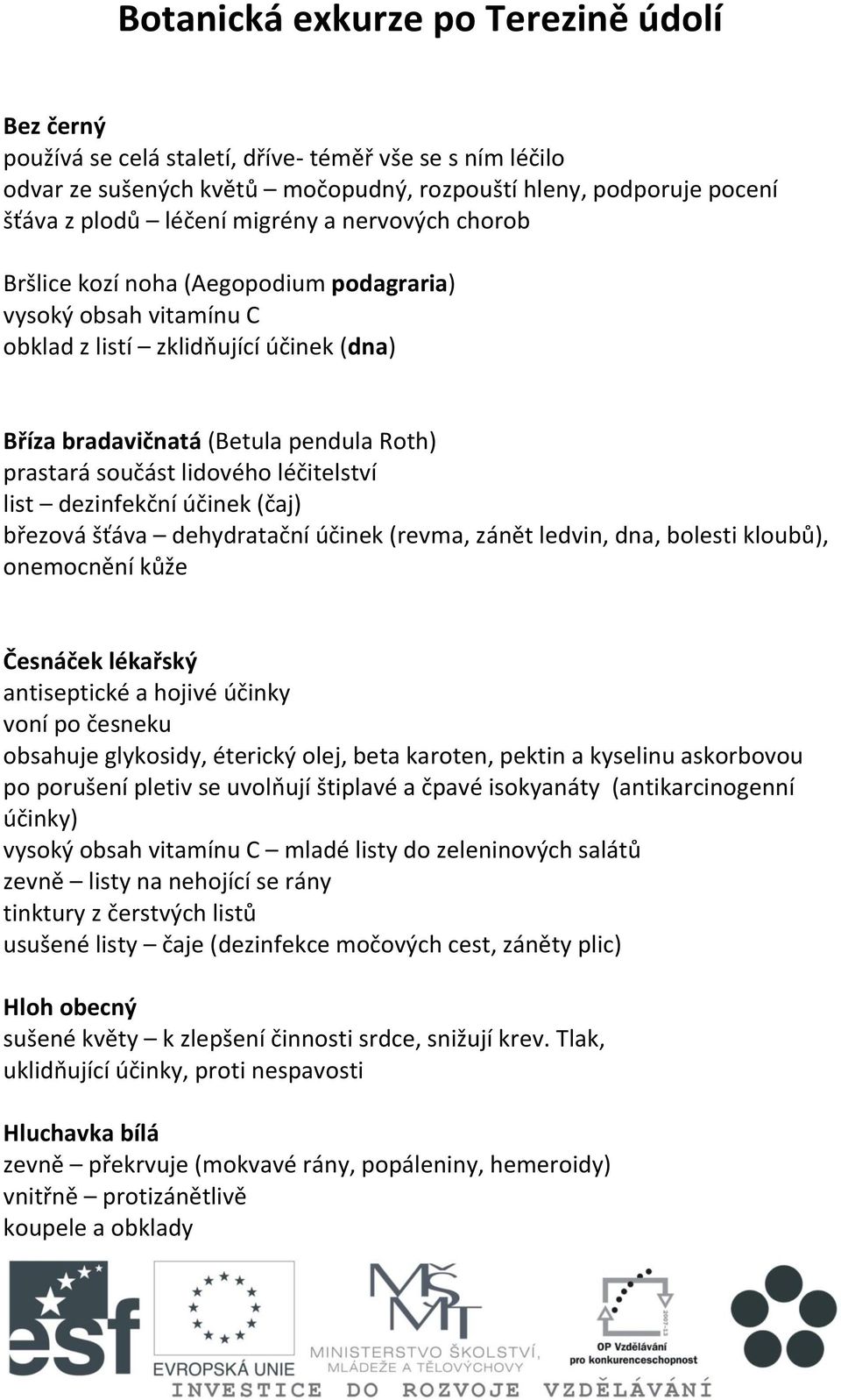 léčitelství list dezinfekční účinek (čaj) březová šťáva dehydratační účinek (revma, zánět ledvin, dna, bolesti kloubů), onemocnění kůže Česnáček lékařský antiseptické a hojivé účinky voní po česneku