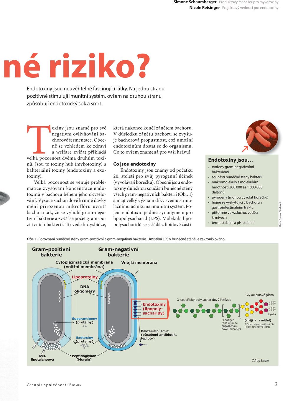 Obecně se vzhledem ke zdraví a welfare zvířat přikládá velká pozornost dvěma druhům toxinů. Jsou to toxiny hub (mykotoxiny) a bakteriální toxiny (endotoxiny a exotoxiny).