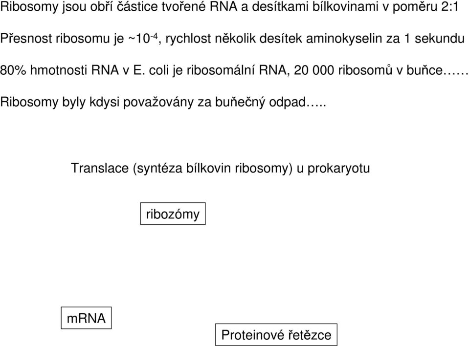 E. coli je ribosomální RNA, 20 000 ribosomů v buňce Ribosomy byly kdysi považovány za