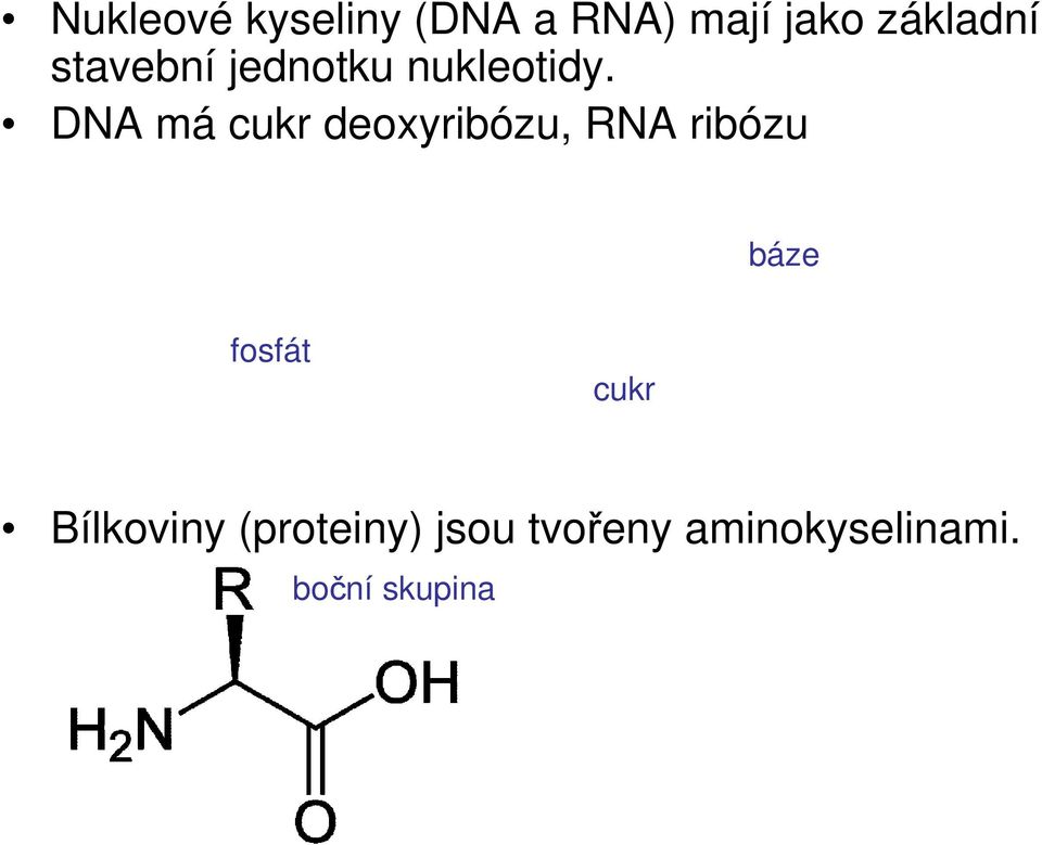 DNA má cukr deoxyribózu, RNA ribózu báze fosfát