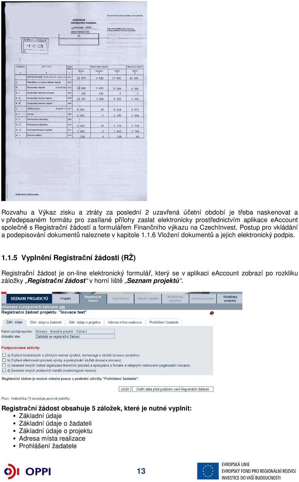 1.6 Vložení dokumentů a jejich elektronický podpis. 1.1.5 Vyplnění Registrační žádosti (RŽ) Registrační žádost je on-line elektronický formulář, který se v aplikaci eaccount zobrazí po