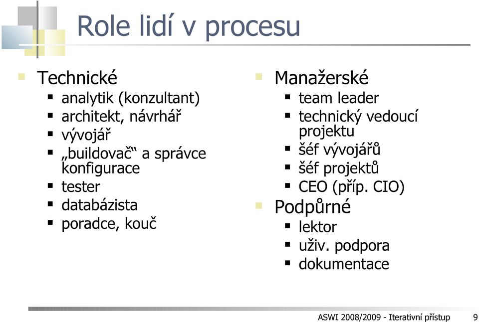 team leader technický vedoucí projektu šéf vývojářů šéf projektů CEO (příp.
