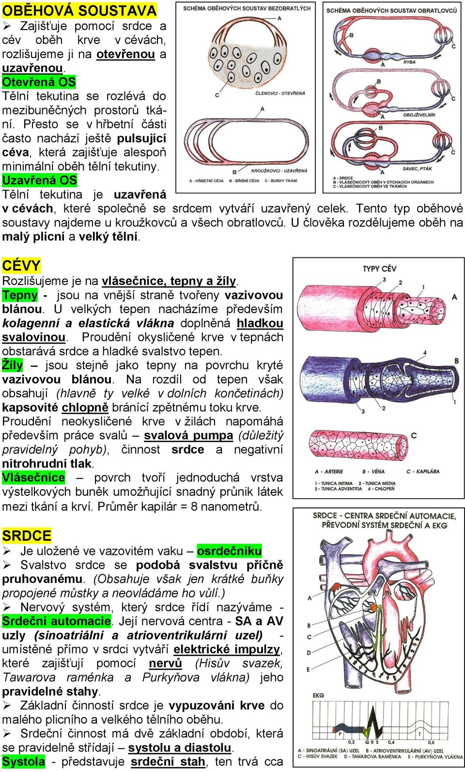 Uzavřená OS Tělní tekutina je uzavřená v cévách, které společně se srdcem vytváří uzavřený celek. Tento typ oběhové soustavy najdeme u kroužkovců a všech obratlovců.