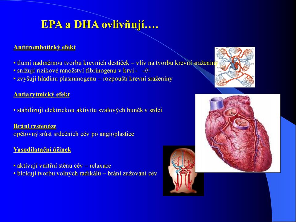 množství fibrinogenu v krvi - -//- zvyšují hladinu plasminogenu rozpouští krevní sraženiny Antiarytmický efekt