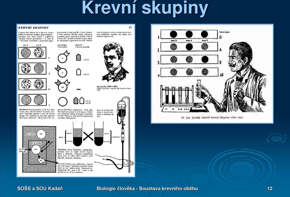 Biologie člověka -