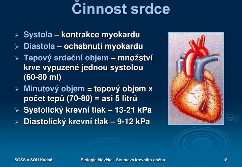 objem x počet tepů (70-80) = asi 5 litrů Systolický krevní tlak 13-21 kpa