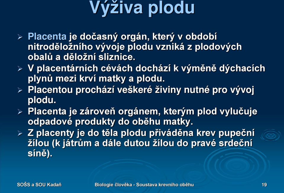 Placentou prochází veškeré živiny nutné pro vývoj plodu.