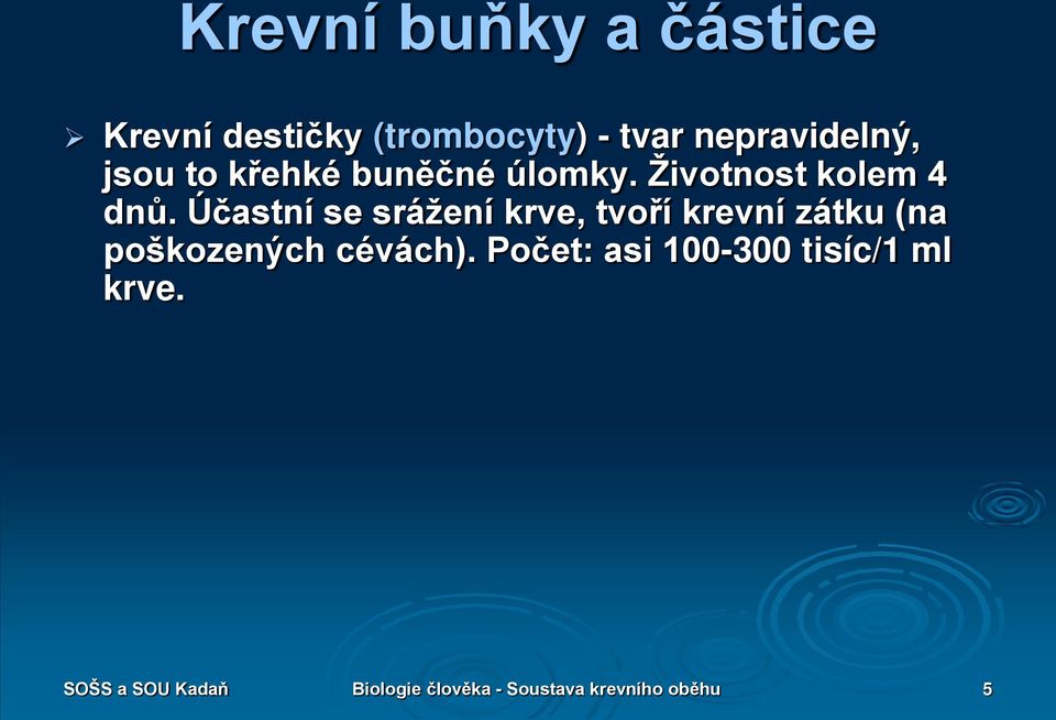 Účastní se srážení krve, tvoří krevní zátku (na poškozených cévách).