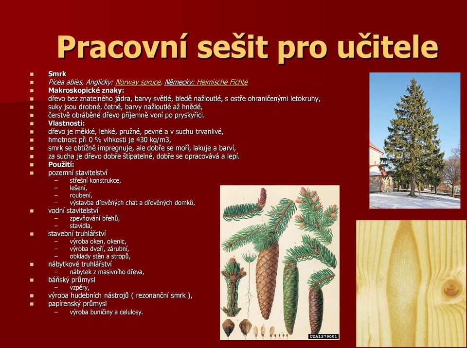 Vlastnosti: dřevo je měkké, lehké, pružné, pevné a v suchu trvanlivé, hmotnost při 0 % vlhkosti je 430 kg/m3, smrk se obtížně impregnuje, ale dobře se moří, lakuje a barví, za sucha je dřevo dobře