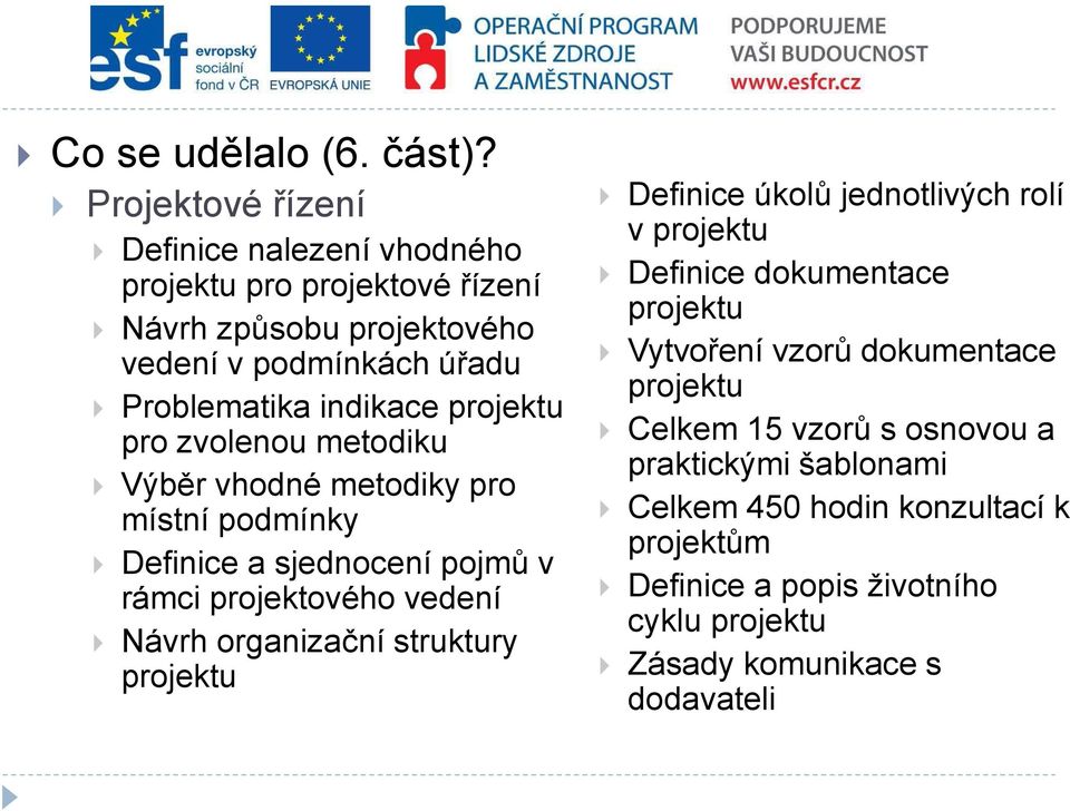 projektu pro zvolenou metodiku Výběr vhodné metodiky pro místní podmínky Definice a sjednocení pojmů v rámci projektového vedení Návrh organizační