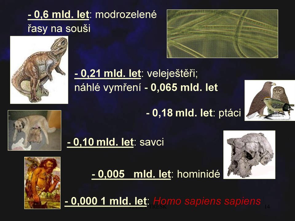 let: ptáci - 0,10 mld. let: savci - 0,005 mld.