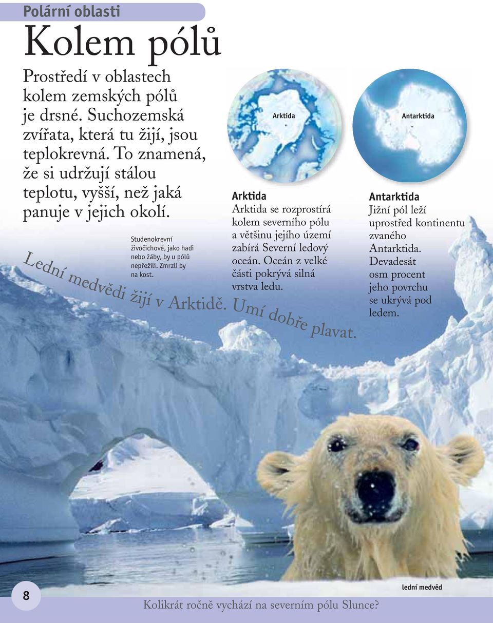 Arktida Arktida Arktida se rozprostírá kolem severního pólu a většinu jejího území zabírá Severní ledový oceán. Oceán z velké části pokrývá silná vrstva ledu.