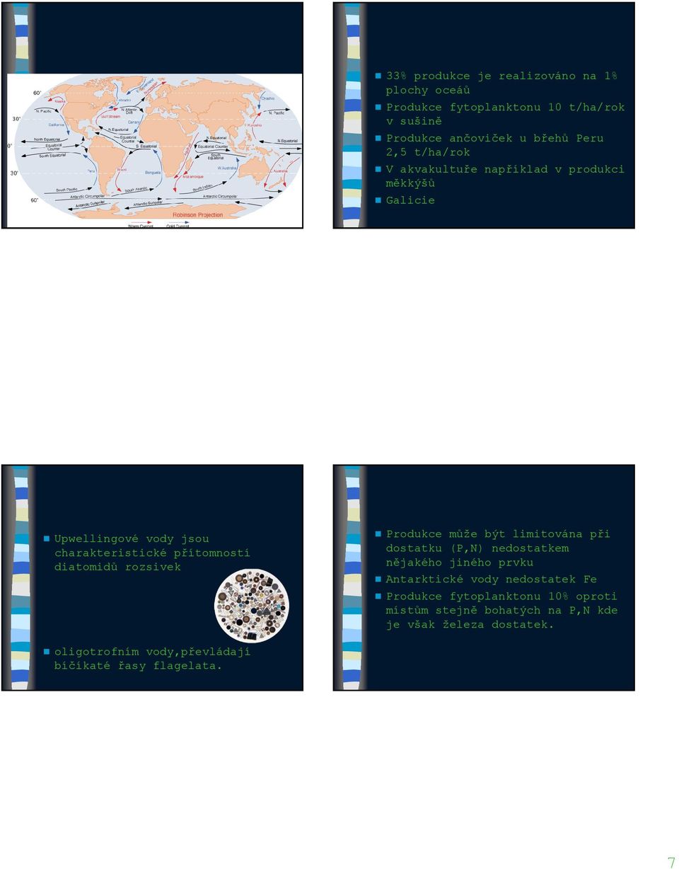 rozsivek Produkce může být limitována při dostatku (P,N) nedostatkem nějakého jiného prvku Antarktické vody nedostatek Fe