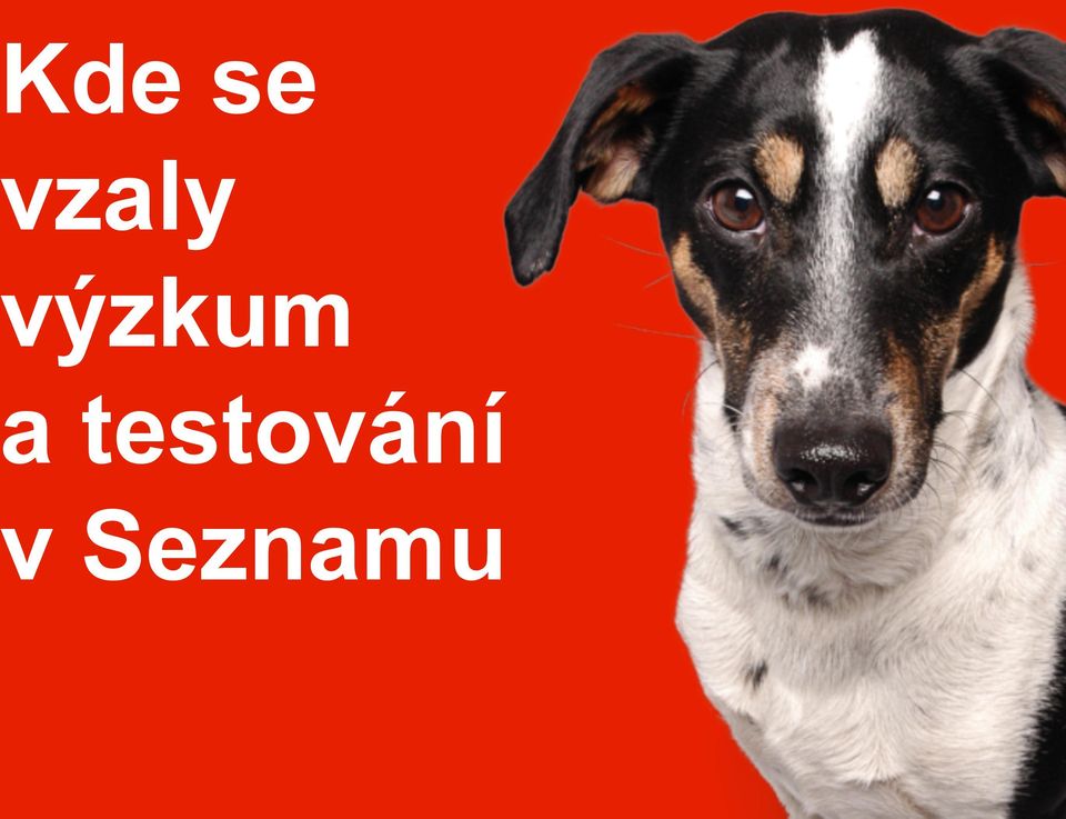 výzkum a