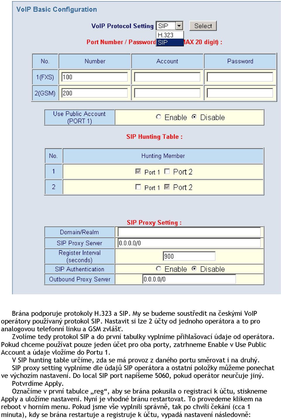 Pokud chceme používat pouze jeden účet pro oba porty, zatrhneme Enable v Use Public Account a údaje vložíme do Portu 1. V SIP hunting table určíme, zda se má provoz z daného portu směrovat i na druhý.